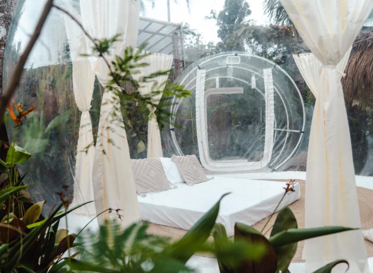 Bubble Siargao Luxury tent