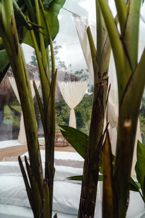 Bubble Siargao Luxury tent General Luna (Surigao del Norte)