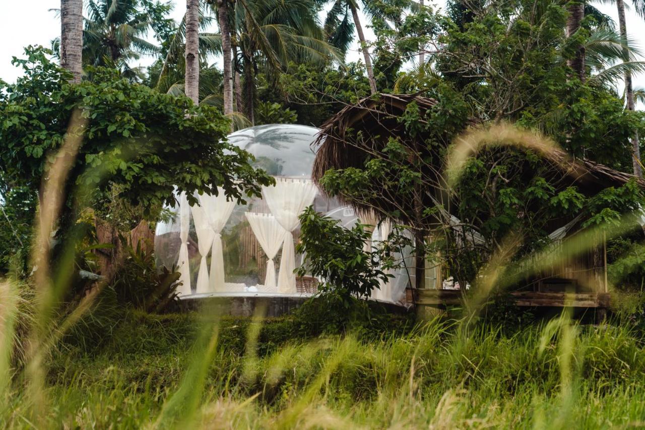 Luxury tent Bubble Siargao General Luna (Surigao del Norte)