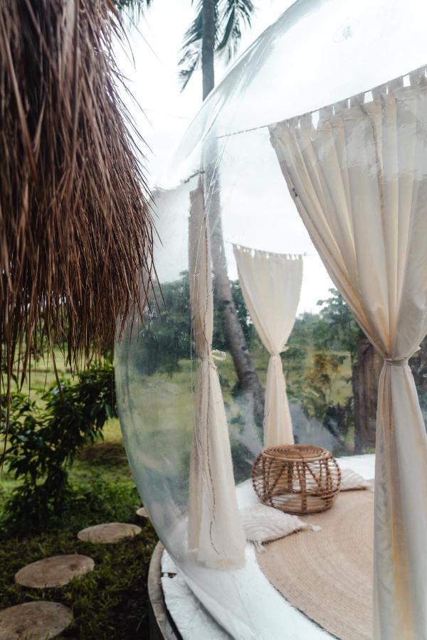 Bubble Siargao Luxury tent *