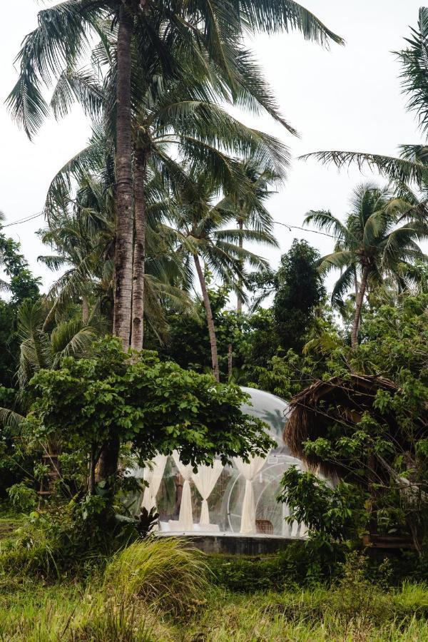 Luxury tent Bubble Siargao General Luna (Surigao del Norte)